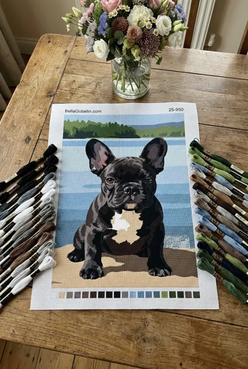 Portret psa - Francuski buldog nad jeziorem