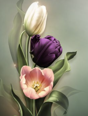 Trzy tulipany