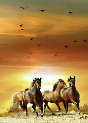 Konie