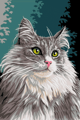Portret kota: Béla