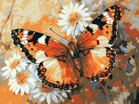 Motyl