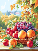 Kosz owoców martwej natury – 25-239