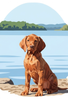 Portrety psów - Vizsla nad jeziorem