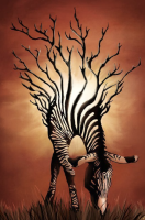 zebra