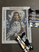 Indiańska dziewczyna z białą sową