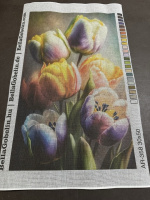 Tulipany – AR-358